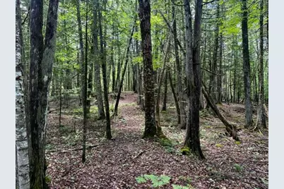 M10 L20 Judkins Road, Harmony, ME 04942 - Photo 39
