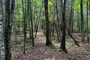 M10 L20 Judkins Rd, Harmony, ME 04942 - Photo 39