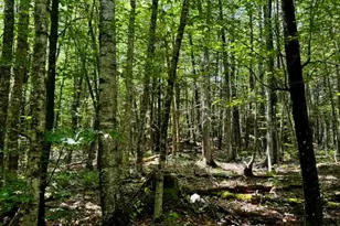 M10 L20 Judkins Rd, Harmony, ME 04942 - Photo 43