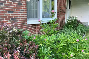 298 Perham St, Farmington, ME 04938 - Photo 47
