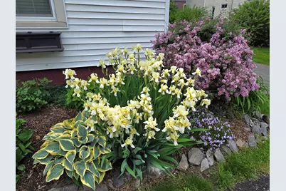 141 Forest Avenue, Bangor, ME 04401 - Photo 31