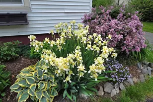 141 Forest Ave, Bangor, ME 04401 - Photo 31