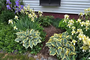 141 Forest Ave, Bangor, ME 04401 - Photo 29