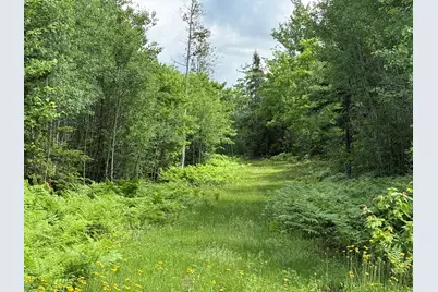 313 Wilcox Road, Cary, ME 04471 - Photo 7