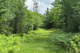 313 Wilcox Rd, Cary, ME 04471 - Photo 7