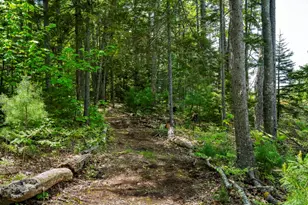 98 Meadow Cove Rd, Boothbay, ME 04544 - Photo 47