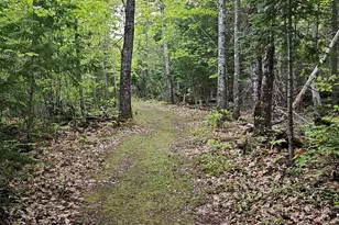 15 Phillips Rd, Glenburn, ME 04401 - Photo 47