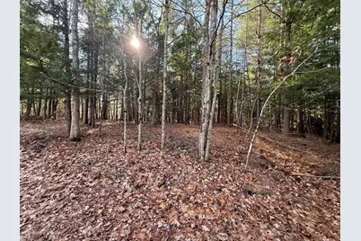 25-2 Mowry Lane, Newfield, ME 04076 - Photo 1