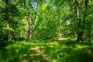914 Union Rd, Appleton, ME 04862 - Photo 9