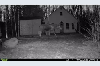 Off Route 192, Wesley, ME 04686 - Photo 3