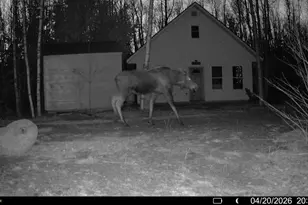 Off Route 192, Wesley, ME 04686 - Photo 3