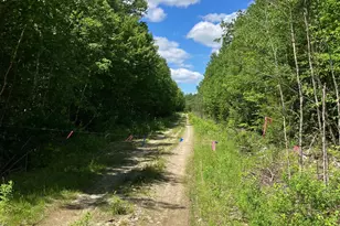 Off Route 192, Wesley, ME 04686 - Photo 43