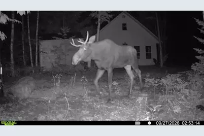 Off Route 192, Wesley, ME 04686 - Photo 1