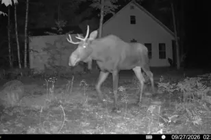 Off Route 192, Wesley, ME 04686 - Photo 1