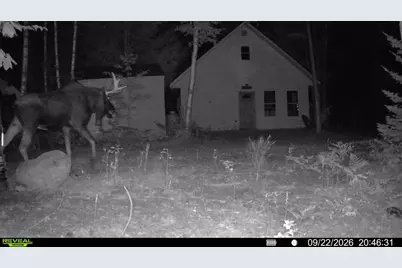 Off Route 192, Wesley, ME 04686 - Photo 3