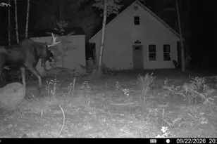 Off Route 192, Wesley, ME 04686 - Photo 3