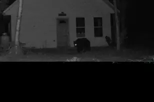 Off Route 192, Wesley, ME 04686 - Photo 49