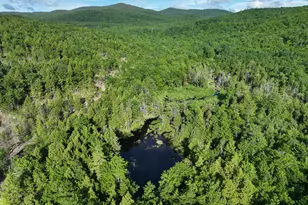 Map 10 Lot 1 Dow Brook Rd, Peru, ME 04290 - Photo 1