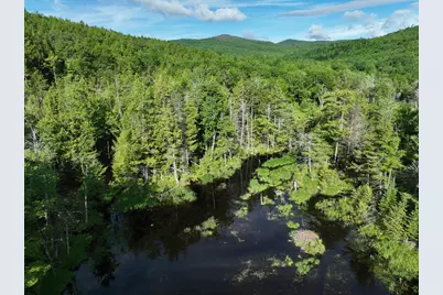 Map 10 Lot 1 Dow Brook Road, Peru, ME 04290 - Photo 19