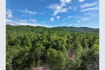 Map 10 Lot 1 Dow Brook Road, Peru, ME 04290 - Photo 17