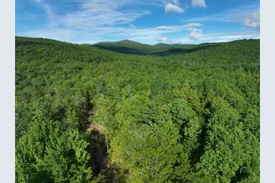 Map 10 Lot 1 Dow Brook Road, Peru, ME 04290 - Photo 15