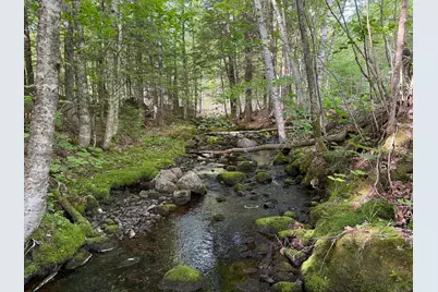 Map 10 Lot 1 Dow Brook Road, Peru, ME 04290 - Photo 7