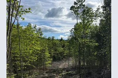 Map 10 Lot 1 Dow Brook Road, Peru, ME 04290 - Photo 13