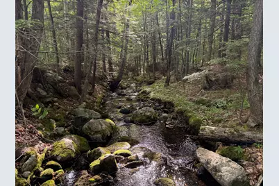 Map 10 Lot 1 Dow Brook Road, Peru, ME 04290 - Photo 3