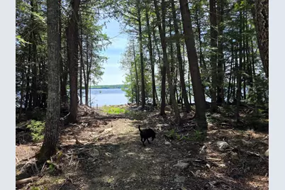 1.86 Lakeside Road, T4 R3 Wels, ME 04747 - Photo 5