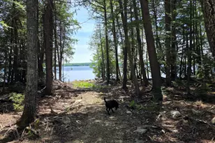 1 86 Lakeside Rd, T4 R3 Wels, ME 04747 - Photo 5