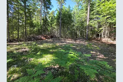 458 Point Road, Otis, ME 04605 - Photo 3
