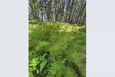 Lot 27 Lively Brook Acres, Whiting, ME 04691 - Photo 13