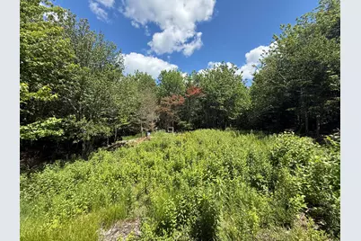 Lot 27 Lively Brook Acres, Whiting, ME 04691 - Photo 1