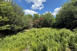 Lot 27 Lively Brook Acres, Whiting, ME 04691 - Photo 1