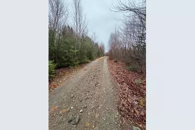 Lot 27 Lively Brook Acres, Whiting, ME 04691 - Photo 11
