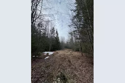Lot 27 Lively Brook Acres, Whiting, ME 04691 - Photo 15
