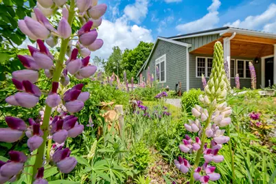 154 Merrills Mills Road, Dover Foxcroft, ME 04426 - Photo 119