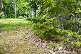 336 Rays Point Rd, Milbridge, ME 04658 - Photo 41