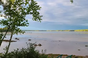 336 Rays Point Rd, Milbridge, ME 04658 - Photo 27
