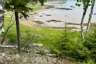 336 Rays Point Rd, Milbridge, ME 04658 - Photo 43