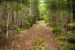 400 River Bnd Rd, Deblois, ME 04622 - Photo 7