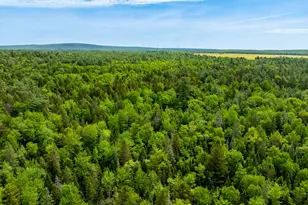 400 River Bnd Rd, Deblois, ME 04622 - Photo 43