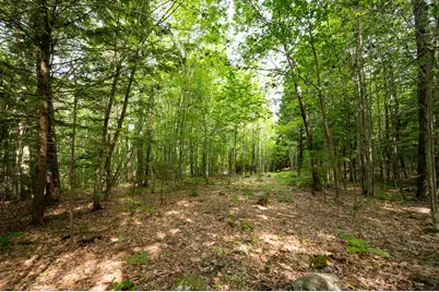 237-001 Hopper Road, Acton, ME 04001 - Photo 13