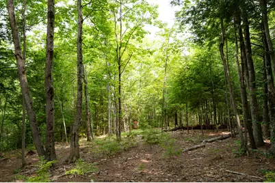 237-001 Hopper Road, Acton, ME 04001 - Photo 11