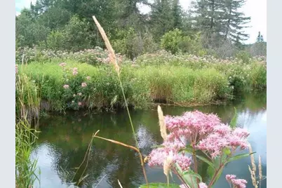 0 Albert Street, Madawaska, ME 04756 - Photo 7