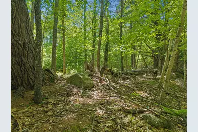 107 Stevenson Way, Bath, ME 04530 - Photo 19