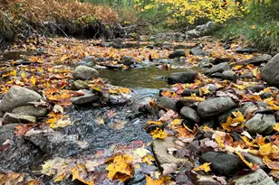 783 Paris Hill Rd, Paris, ME 04281 - Photo 57