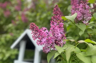 783 Paris Hill Rd, Paris, ME 04281 - Photo 51