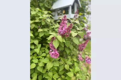 783 Paris Hill Road, Paris, ME 04281 - Photo 55
