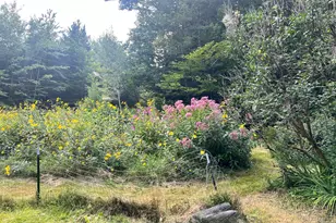 1134 Waterford Rd, Waterford, ME 04088 - Photo 29